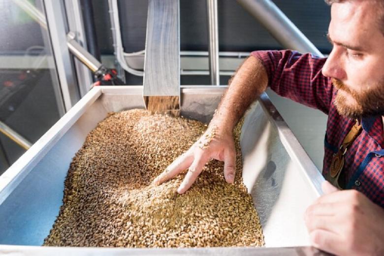 Россия с начала сельхозгода в 2,5 раза нарастила экспорт ячменя в Турцию